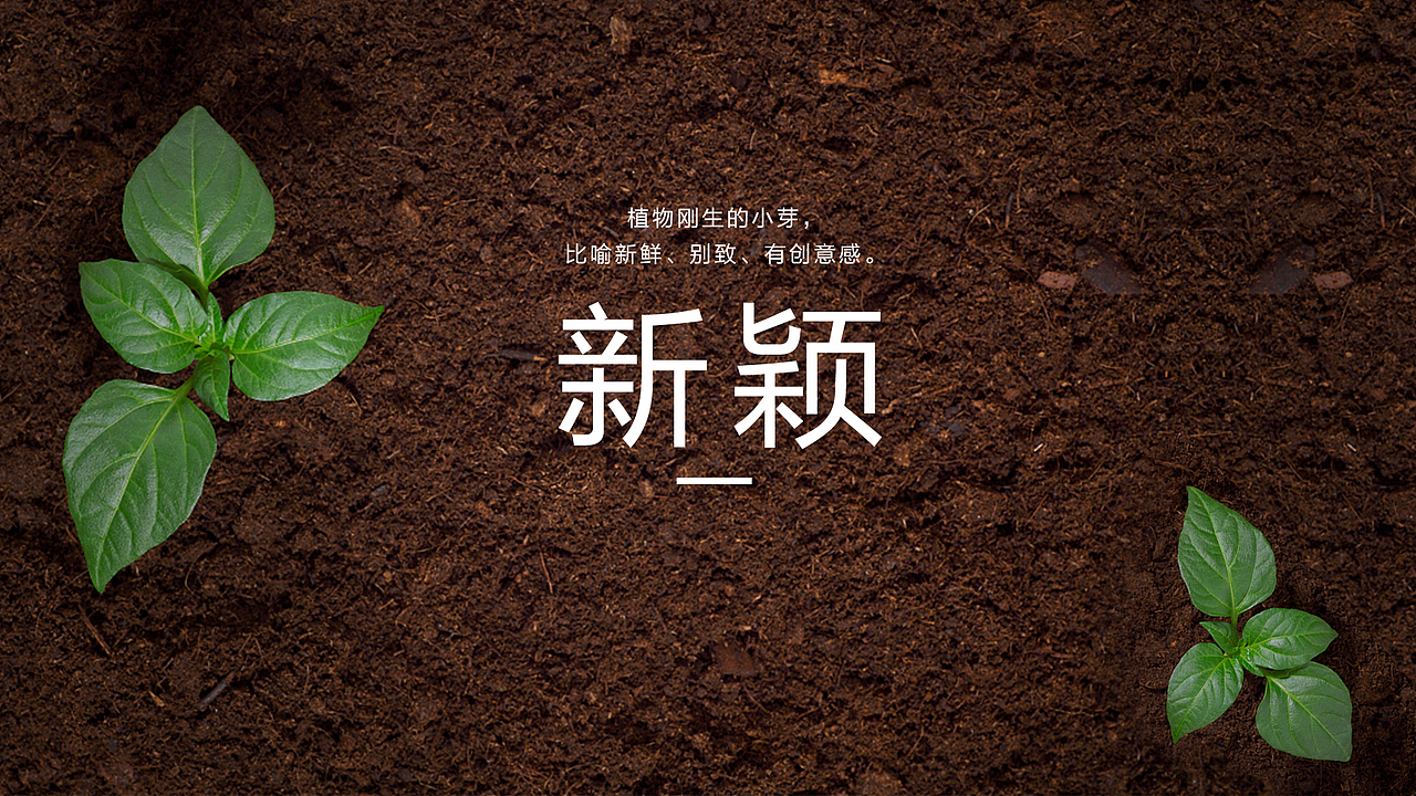 英飞VI升级方案