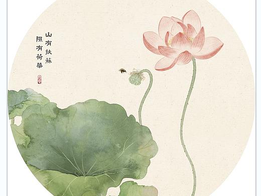 新中式荷花荷叶插画