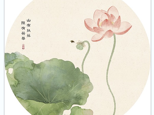 新中式荷花荷叶插画