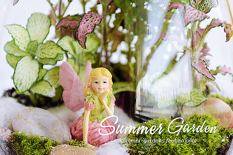 绿植手作--夏末时分许愿精灵--《夏末花园成长日记29》（图ZMzI2MTUyNTI=） - 其他手工艺 - 站酷设计师zxsummer原创素材 - 站酷ZCOOL