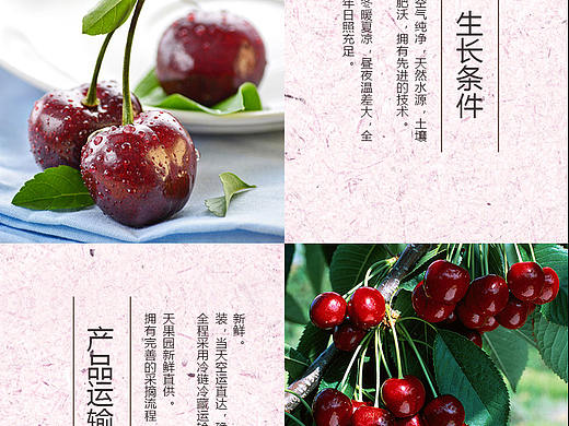 电商水果详情页