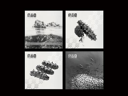 海参品牌辅助图创作