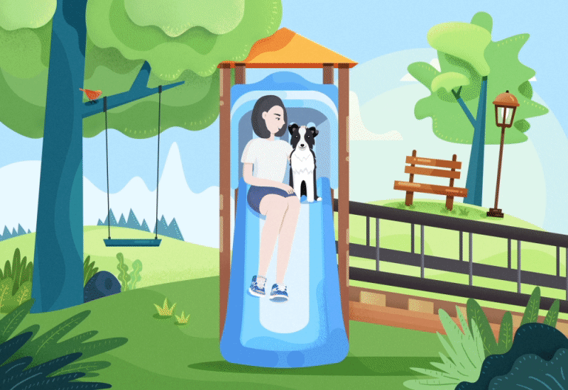 我家的边牧叫豆花（图ZMTI3MjcyNjAw） - 创作习作 - 站酷设计师YoyoChiang原创素材 - 站酷ZCOOL