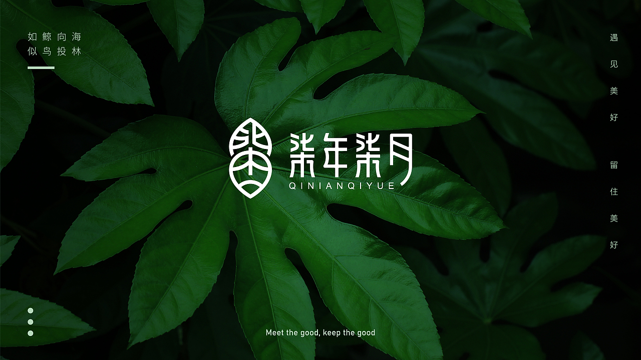 品牌设计合集（图ZMjg1Mjc5MDgw） - 品牌 - 站酷设计师pumpkin楠楠原创素材 - 站酷ZCOOL
