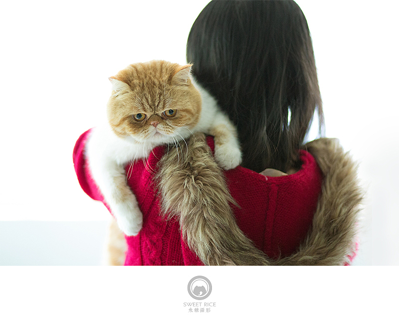 加菲阿宝和乱入的东西（图ZNDY1NjQyOTI=） - 宠物摄影 - 站酷设计师挂糖原创素材 - 站酷ZCOOL