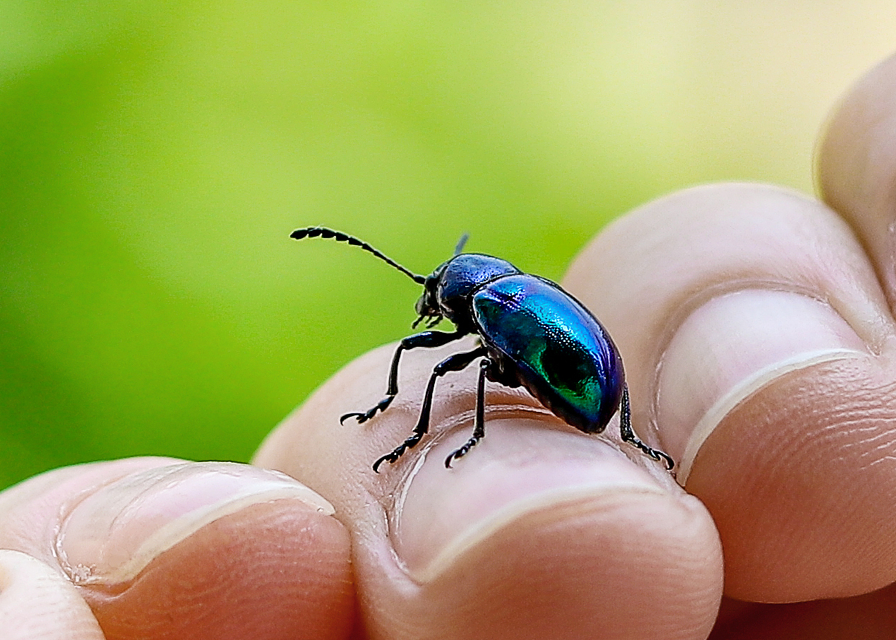 路人阿金（圖ZMTE2MTE4NTE2） - 風(fēng)光攝影 - 站酷設(shè)計(jì)師mqmolly原創(chuàng)素材 - 站酷ZCOOL