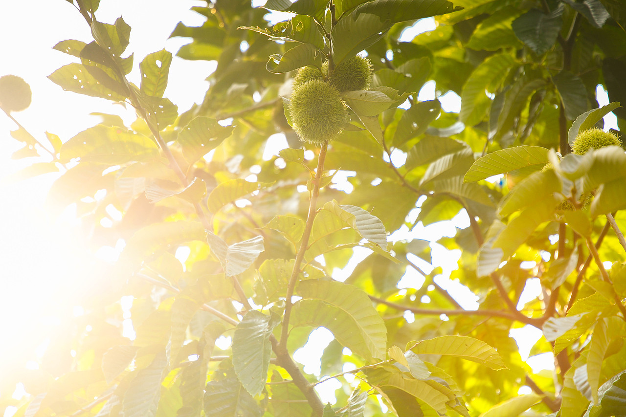 浙江省杭州市余杭区泗溪村风景照