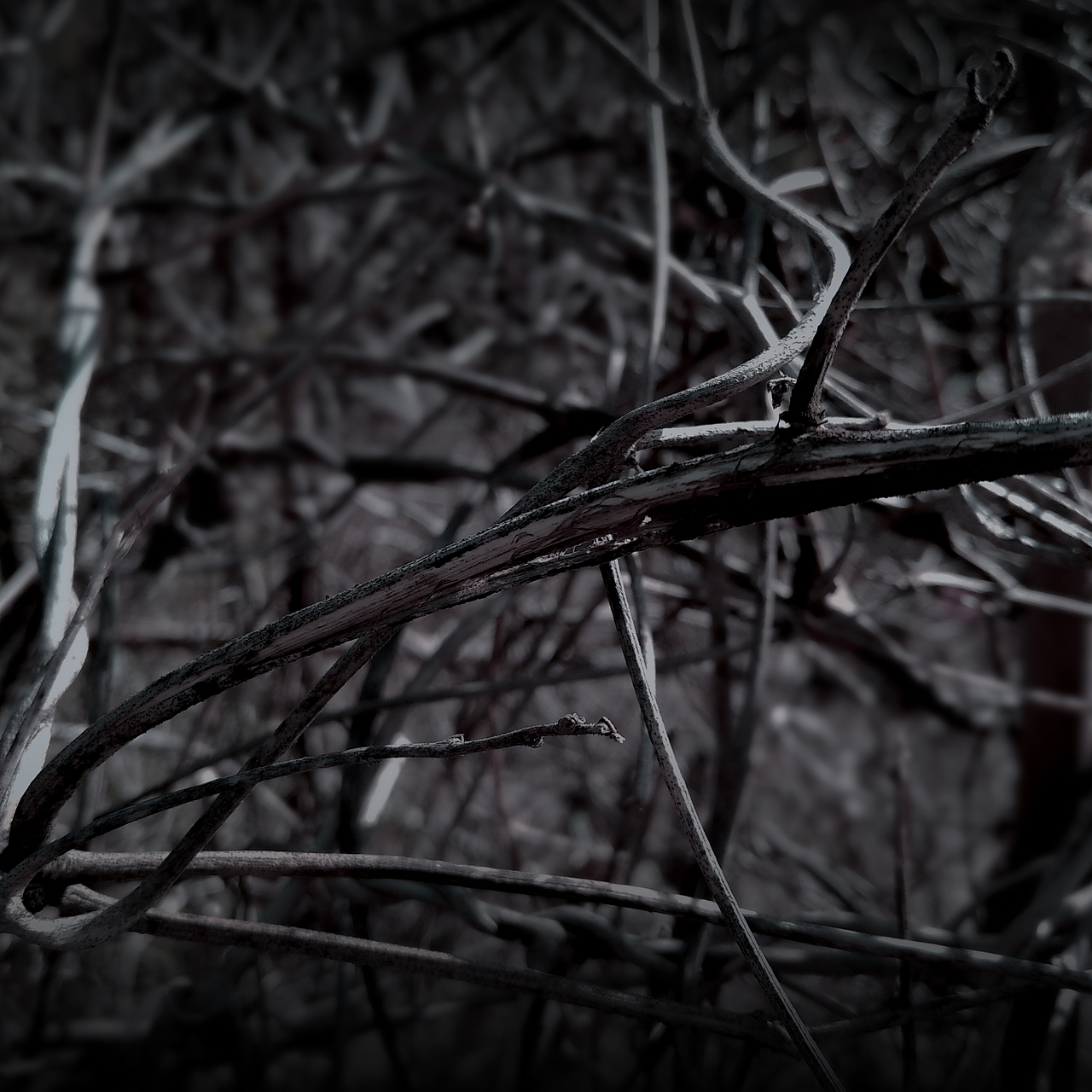 被忽视的自然美（图ZMTI0OTU3OTM2） - 风光摄影 - 站酷设计师Jauver原创素材 - 站酷ZCOOL