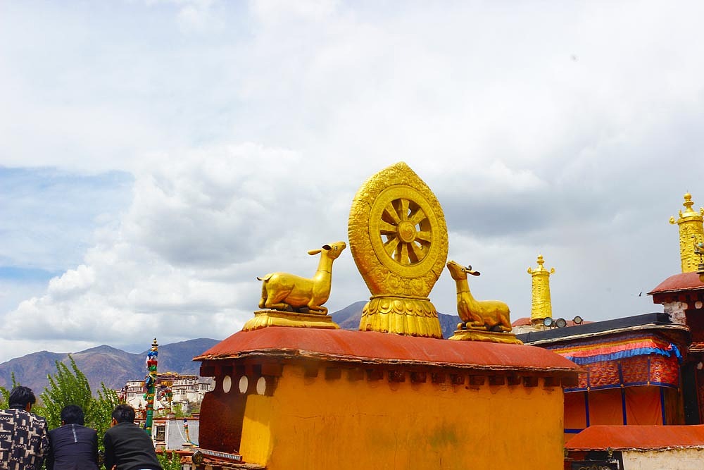 这有个传说,在建大昭寺时,山羊衔土来填的沼泽地