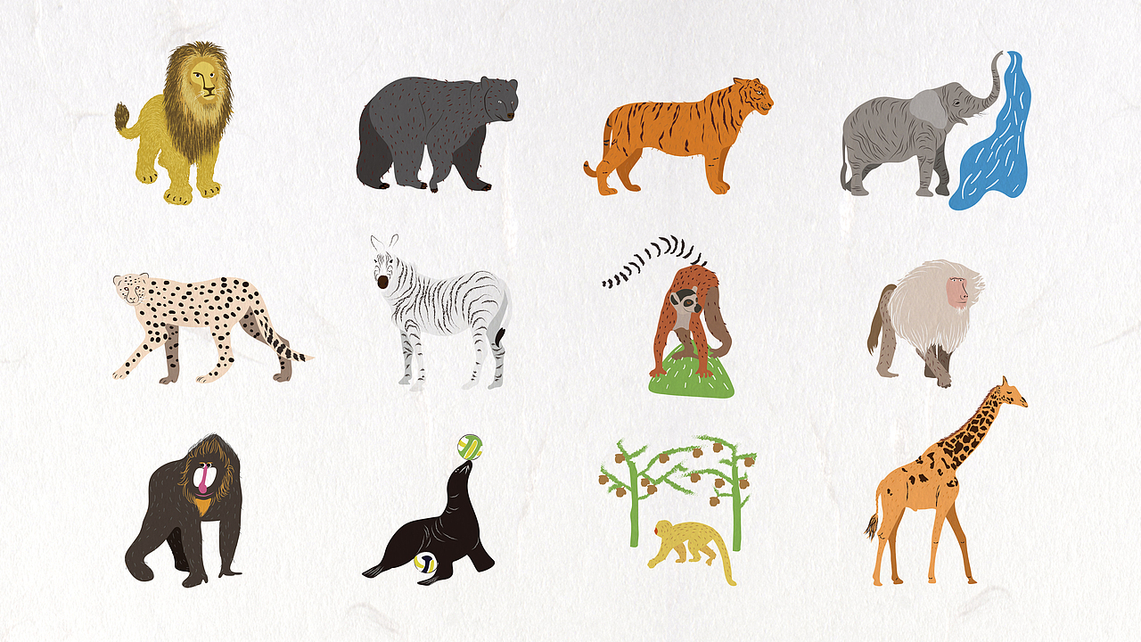 碧峰峡野生动物园视觉识别系统