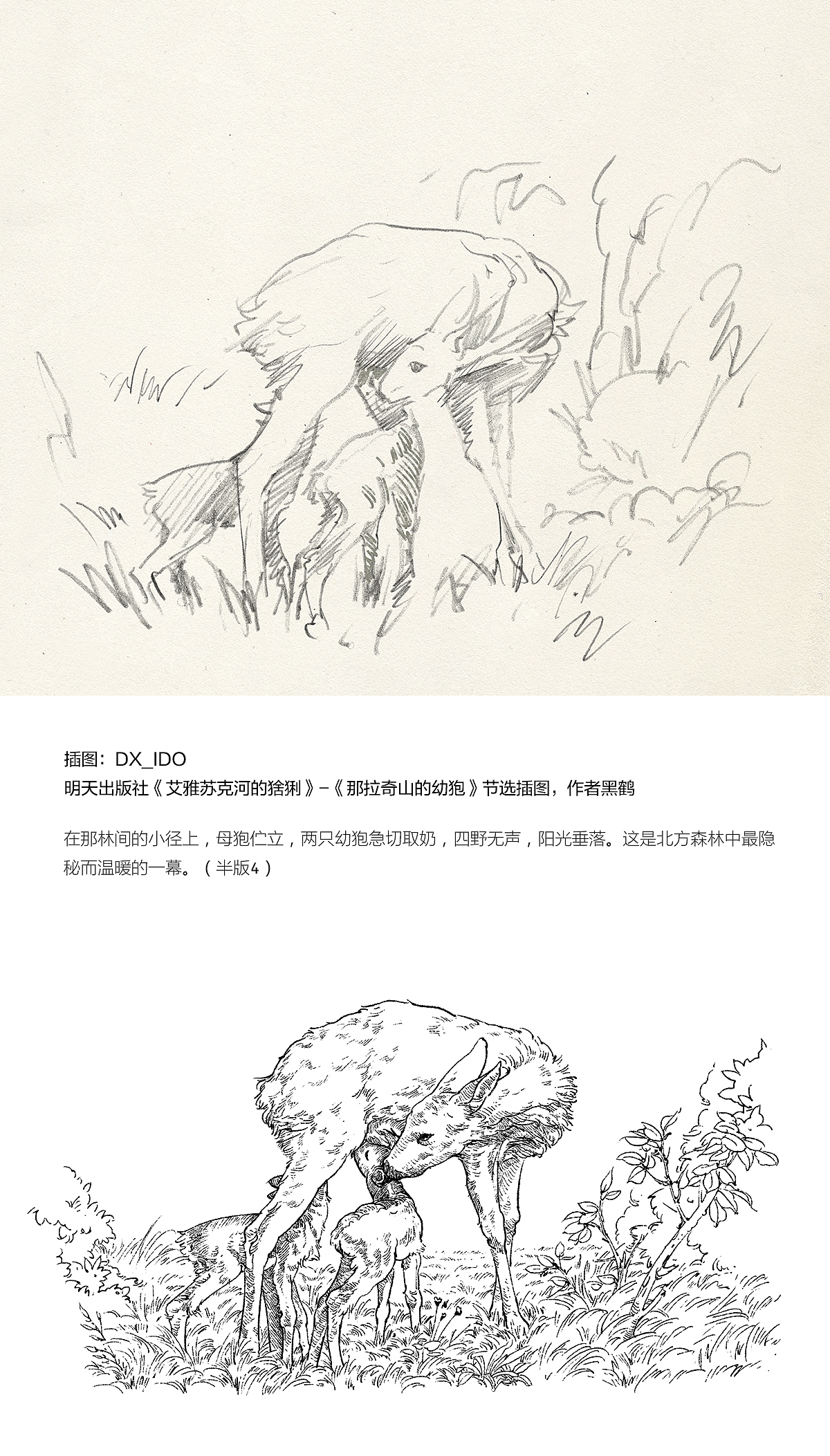 2189 一些插图整理（图ZMTI5NTg5Mjcy） - 绘画 - 站酷设计师DX_IDO原创素材 - 站酷ZCOOL