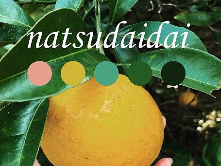 一组夏日食物来的色彩搭配学习（个人主页-ZMjkyNzgyMzY=） - 其他平面 - 站酷设计师xinxinxin_chen原创素材 - 站酷ZCOOL