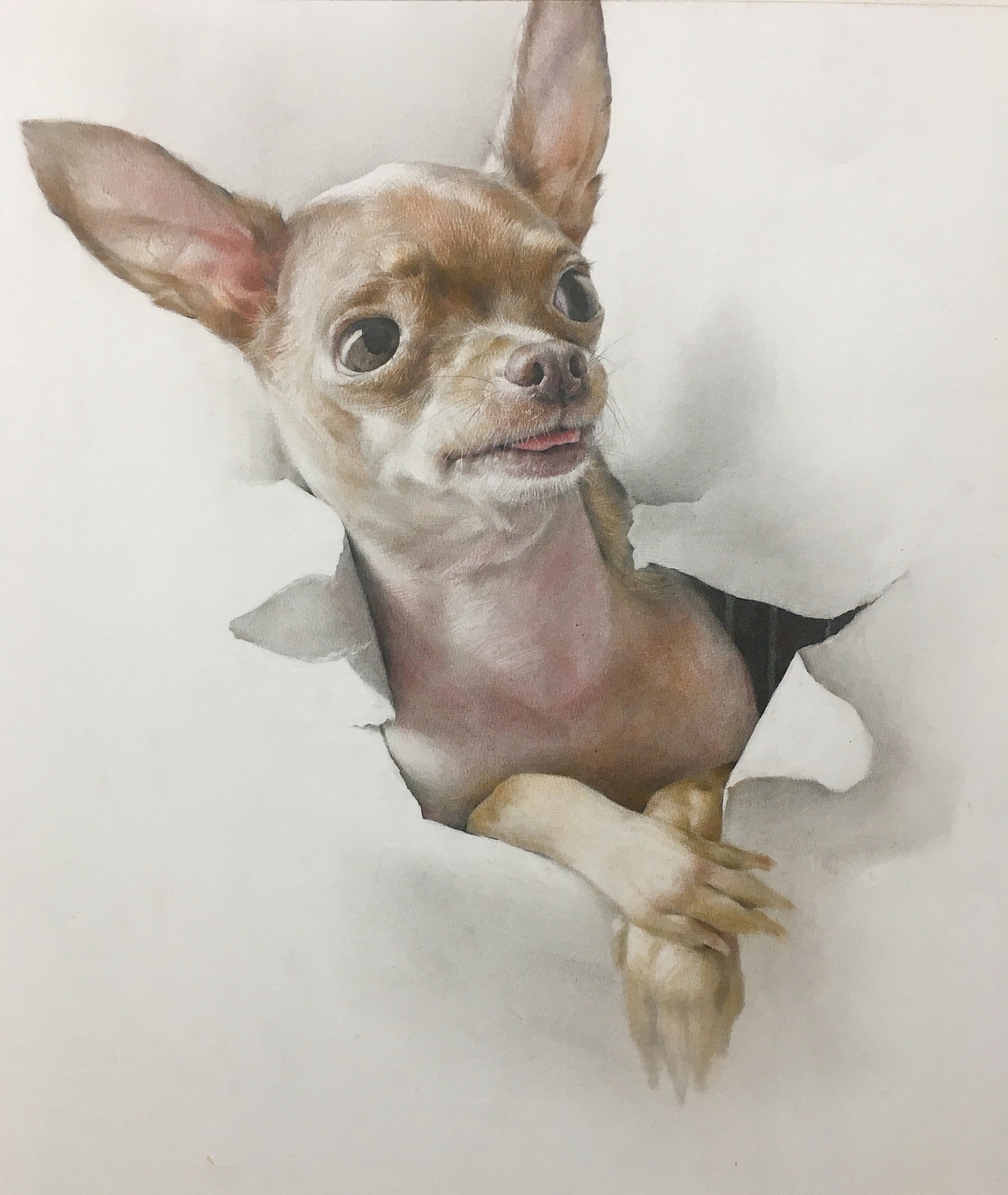 色粉画精微素描