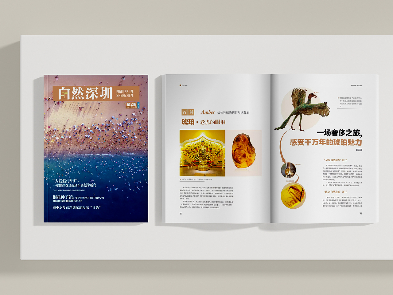 自然深圳（图ZMjk0NDY2NTE2） - 书籍/画册 - 站酷设计师Wuly行止原创素材 - 站酷ZCOOL
