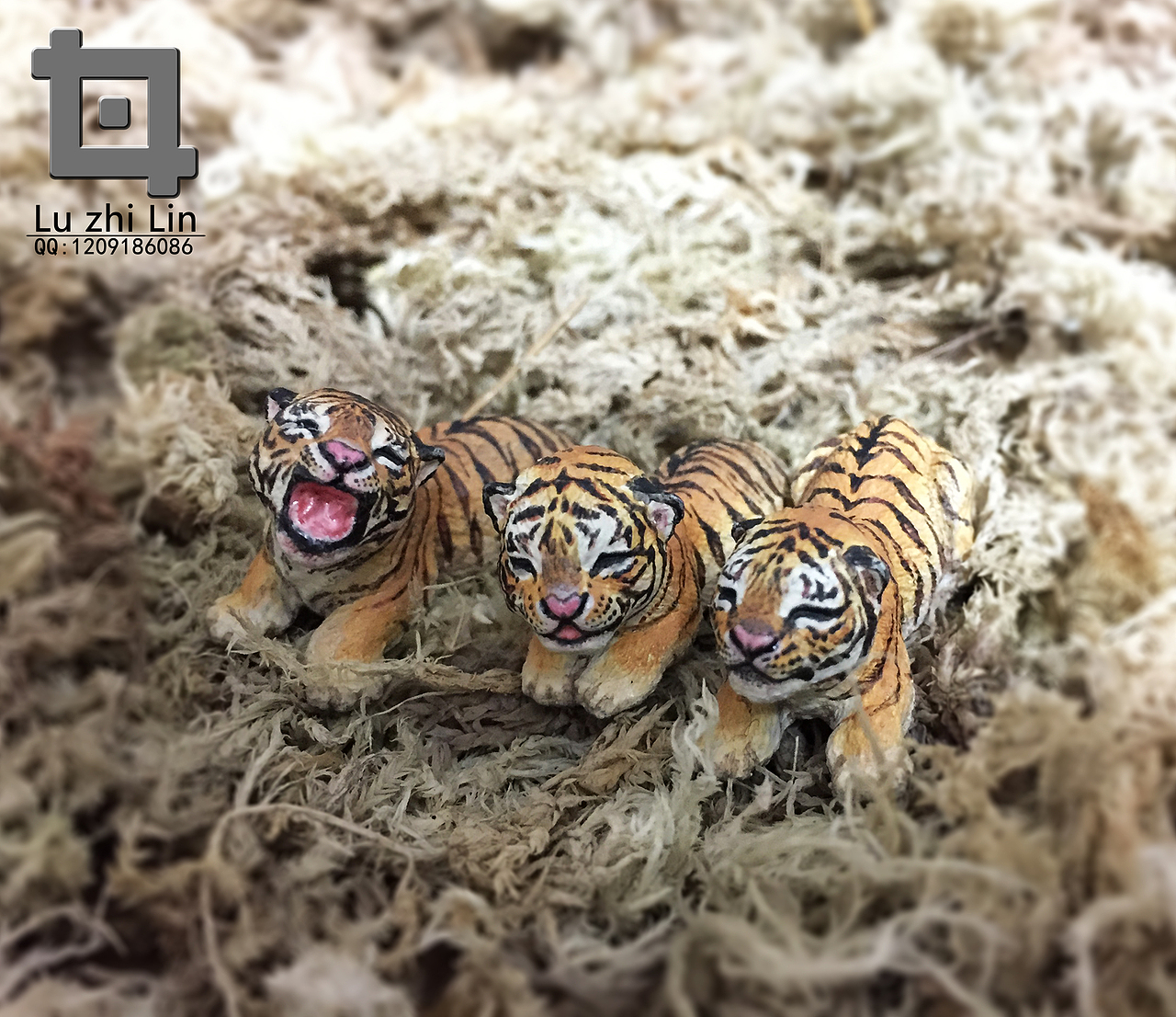 动物模型 -萌虎仨兄弟-涂装展示