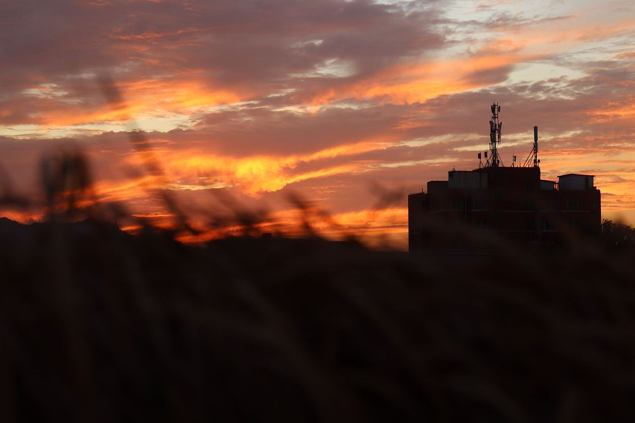 校园的黄昏独自一人