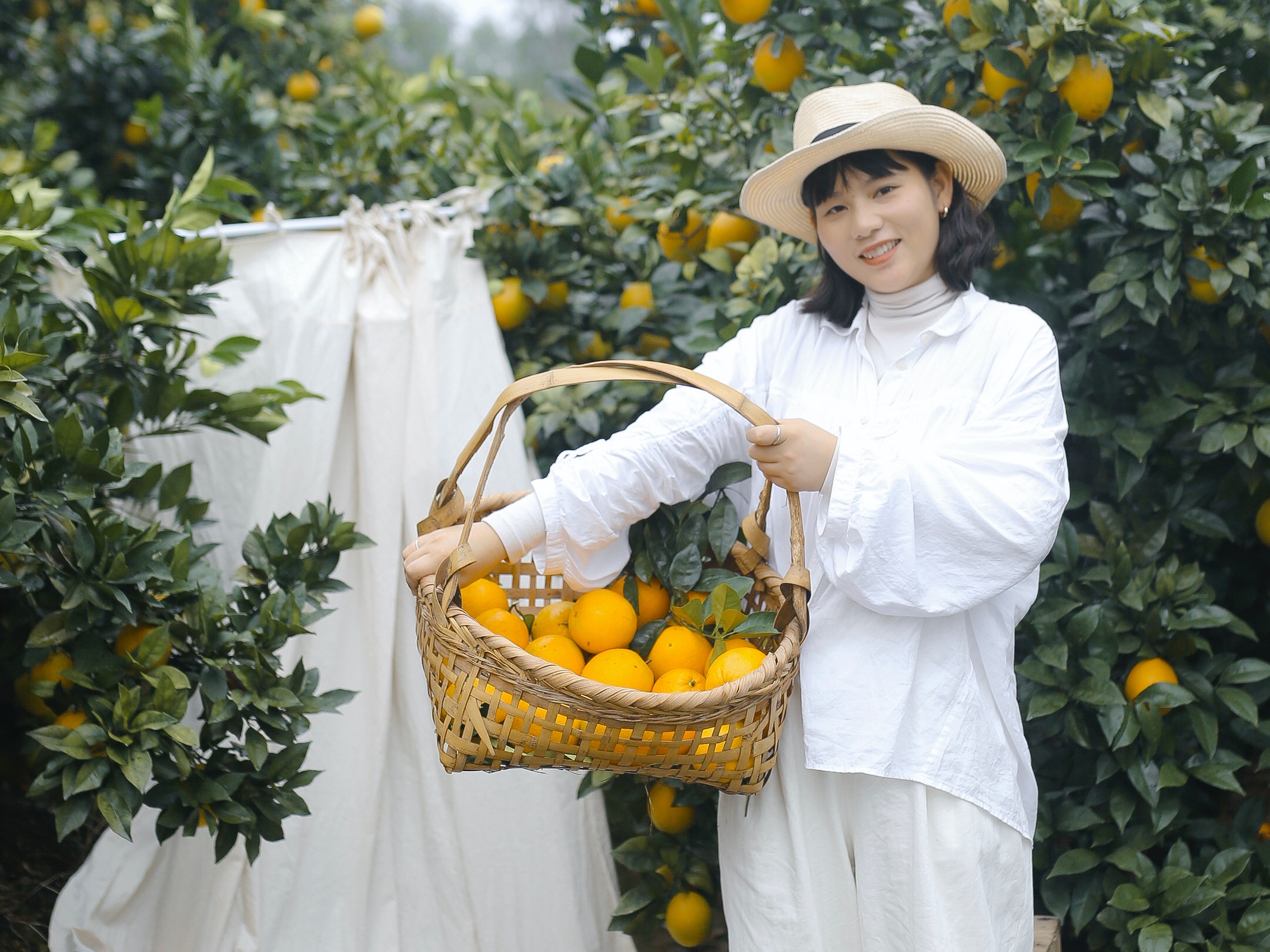 人物夏天一个人果园摘果子摄影图配图高清摄影大图-千库网