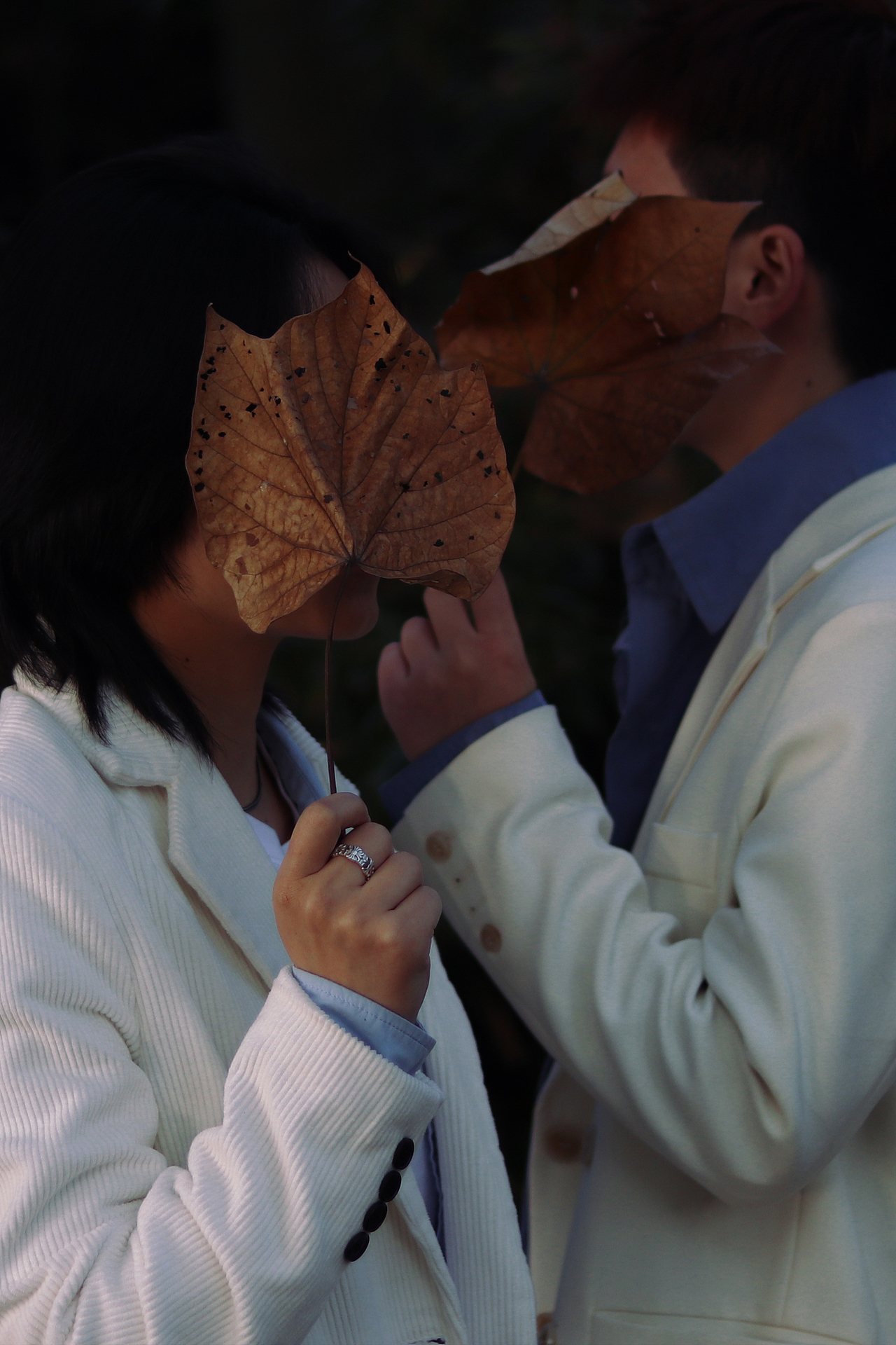 苏州白鹭园拍摄20201115