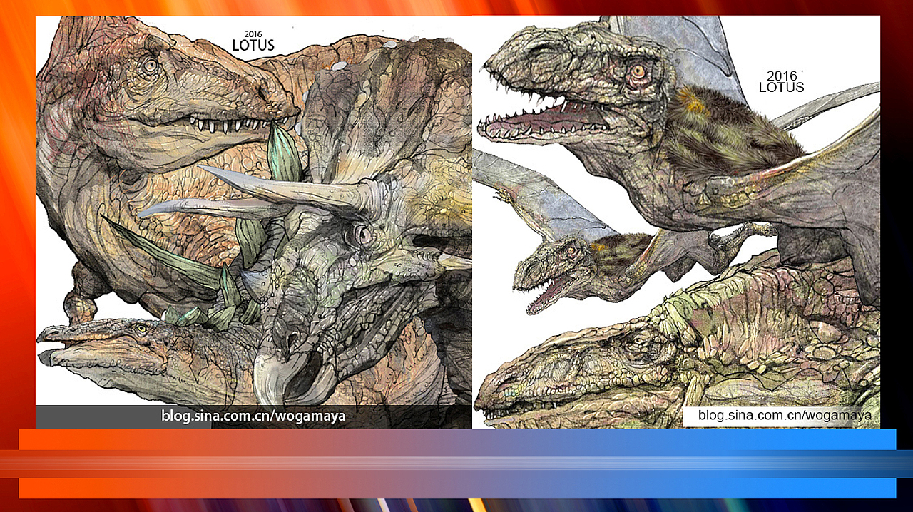 赵鑫 莲花帝国 画画 2018