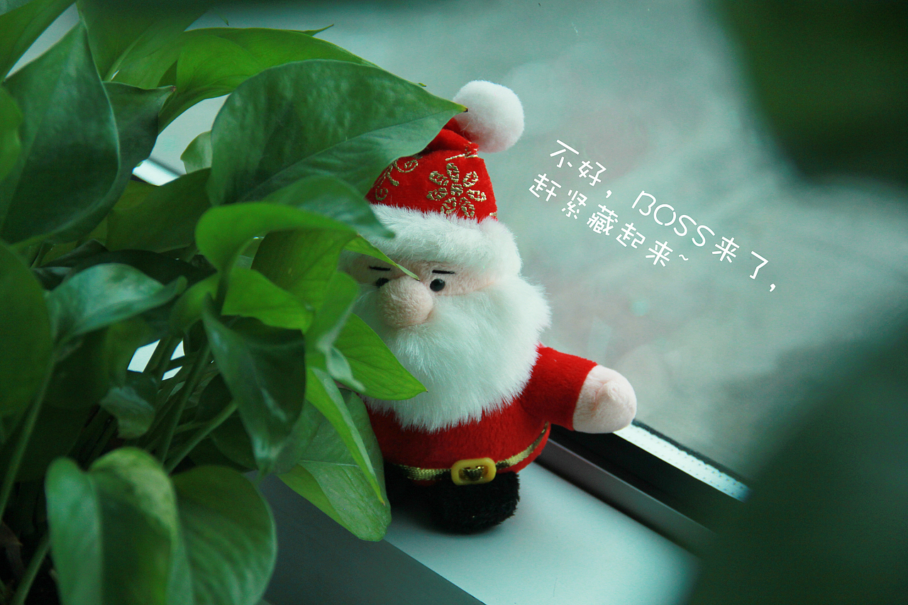 2015年圣誕節(jié)的隨拍（圖ZNTY3ODAzNTY=） - 其他攝影 - 站酷設計師山山而川上的麥子原創(chuàng)素材 - 站酷ZCOOL