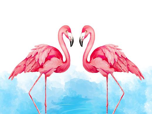 火烈鳥（個(gè)人主頁-ZMzQwMDc5ODA=） - 創(chuàng)作習(xí)作 - 站酷設(shè)計(jì)師麥芒姑娘原創(chuàng)素材 - 站酷ZCOOL