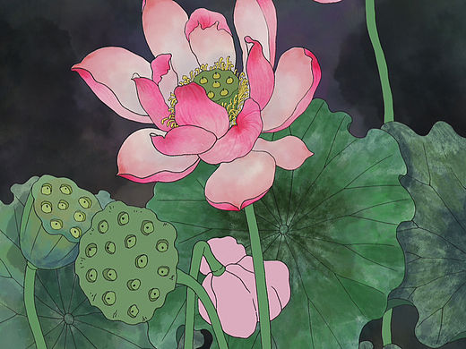 荷花（個人主頁-ZNjUxNzcxMTI=） - 創(chuàng)作習(xí)作 - 站酷設(shè)計(jì)師自在的在原創(chuàng)素材 - 站酷ZCOOL