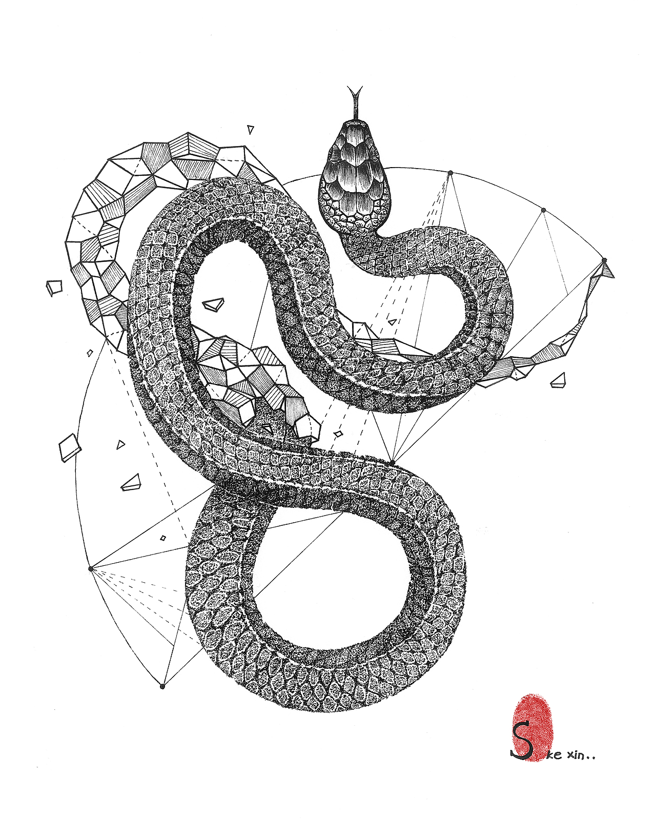 「D」—— 属于D的纹身图