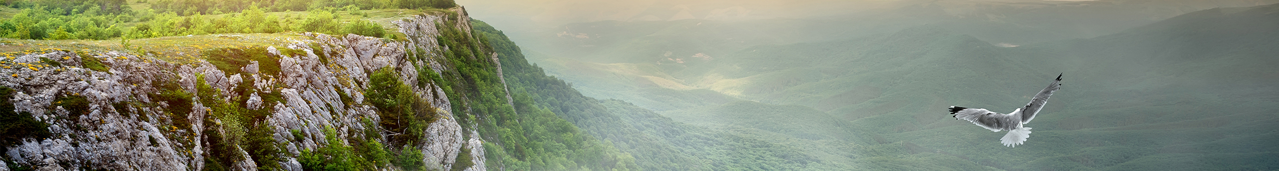 仙子渺顏的個(gè)人主頁（封面預(yù)覽） - 主頁封面設(shè)置 - 站酷設(shè)計(jì)師仙子渺顏原創(chuàng)素材 - 站酷ZCOOL