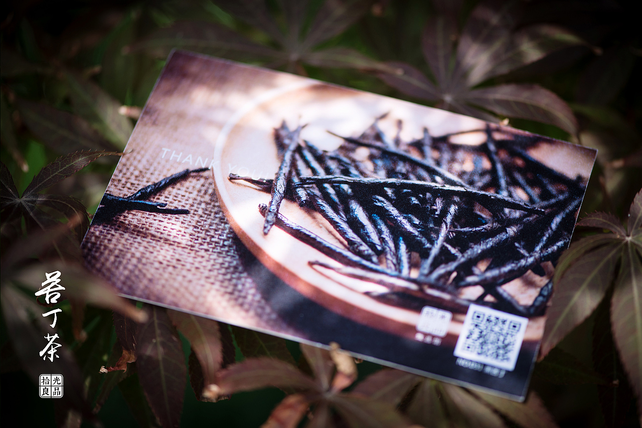 拾光良品 甄选馆 产品摄影 027号产品 苦丁茶