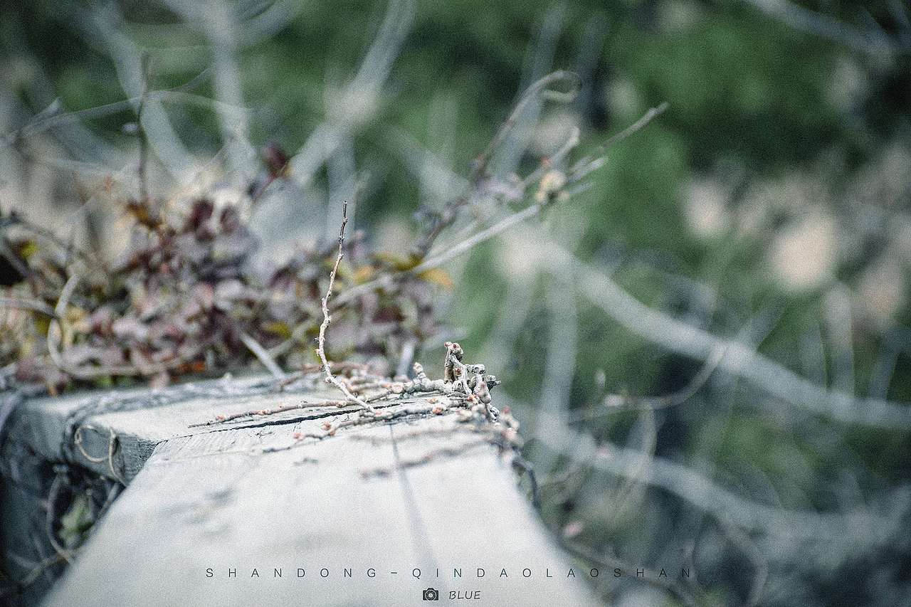 碧海蓝天的青岛~（图ZNzY3NTE2MzI=） - 风光摄影 - 站酷设计师她说tashuo原创素材 - 站酷ZCOOL