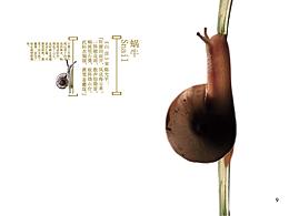 美容画册