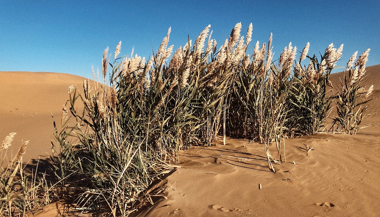 乌兰布和沙漠（图ZMjI4ODEzNTMy） - 风光摄影 - 站酷设计师天才从不缺钙原创素材 - 站酷ZCOOL