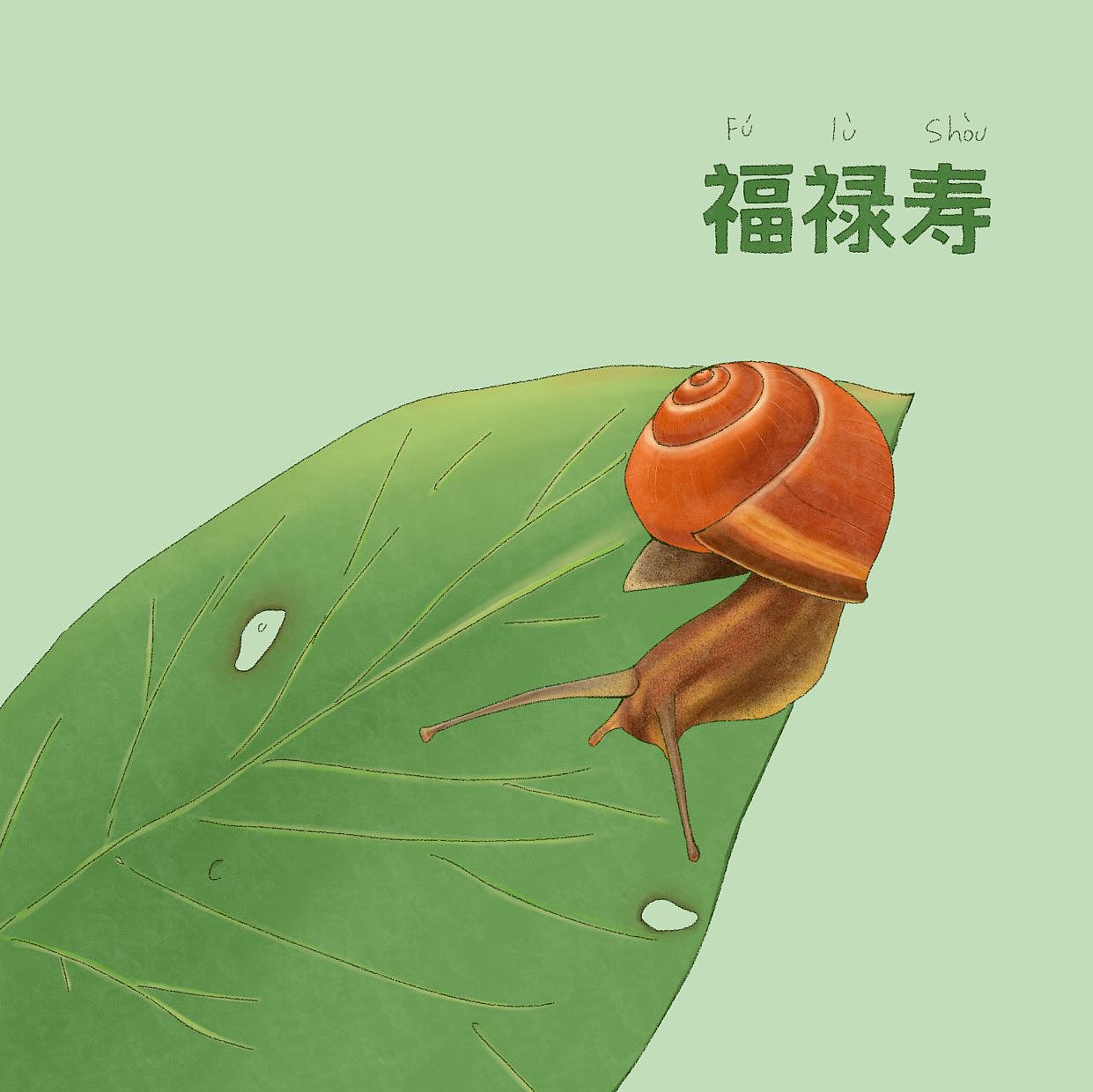 动植物主题插画