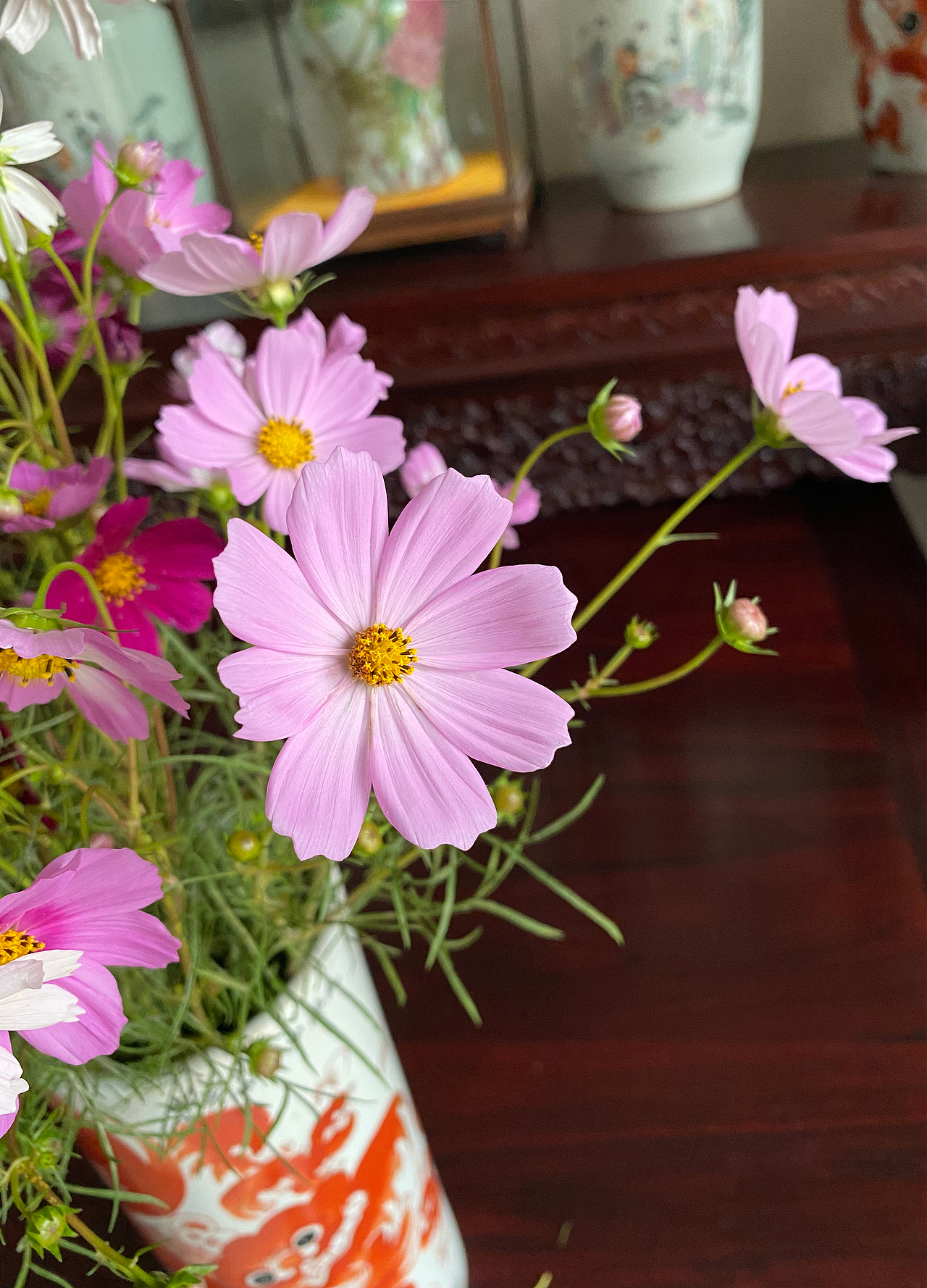 格桑花开 /原创油画