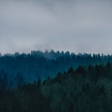 YPP_宇的头像