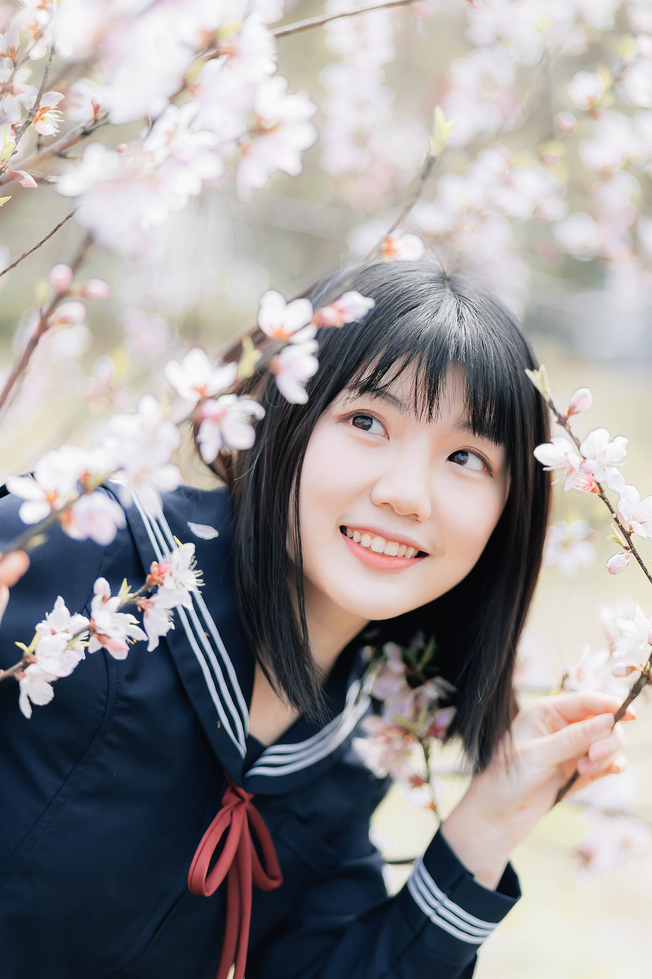 关于花季的特写
