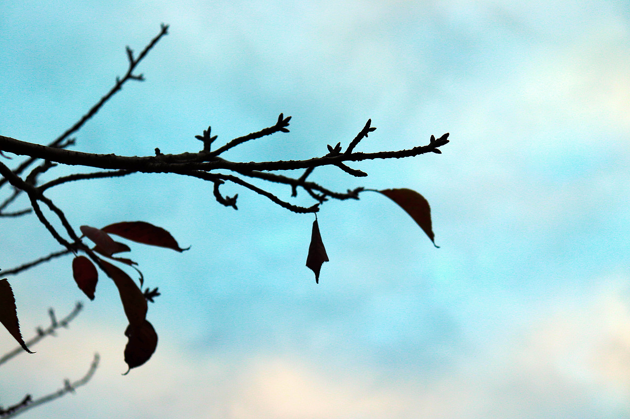 随手拍的风光（图ZMTgyMjAzNzAw） - 产品摄影 - 站酷设计师弗如Ru原创素材 - 站酷ZCOOL