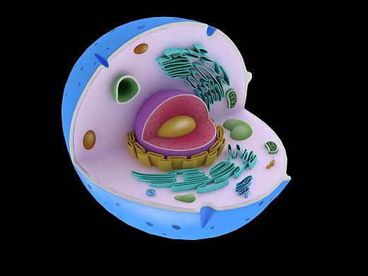 科研绘图—近期设计的生物学相关的论文机理图