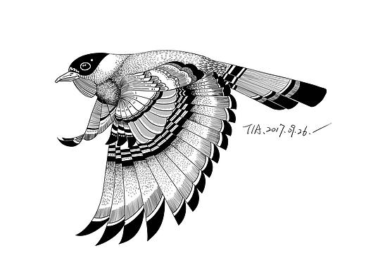 餐厅插画-鸟