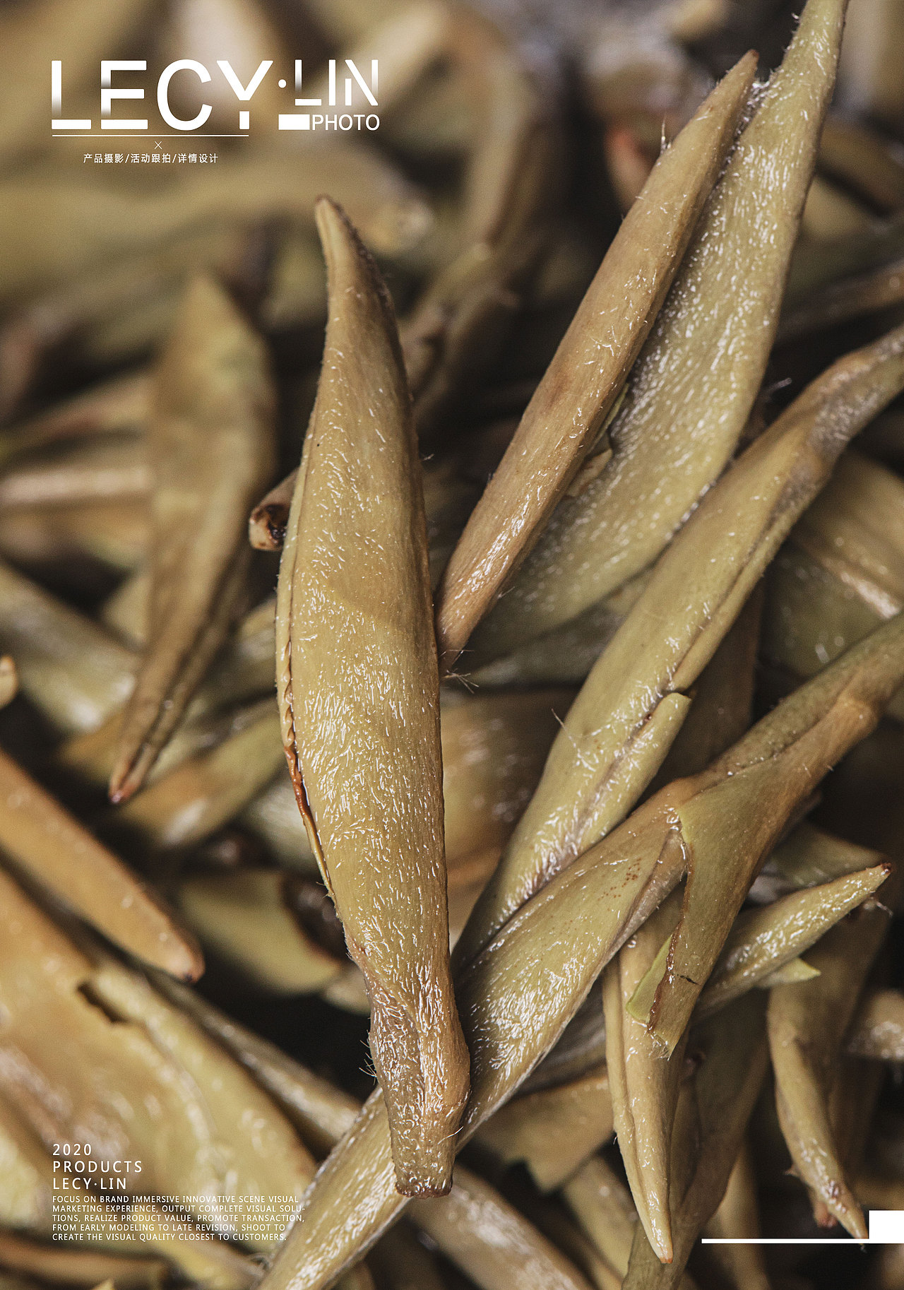 昌澤茶葉白茶拍攝（圖ZMjI5Mjk3MjY4） - 產(chǎn)品攝影 - 站酷設(shè)計(jì)師LECY灬樂原創(chuàng)素材 - 站酷ZCOOL