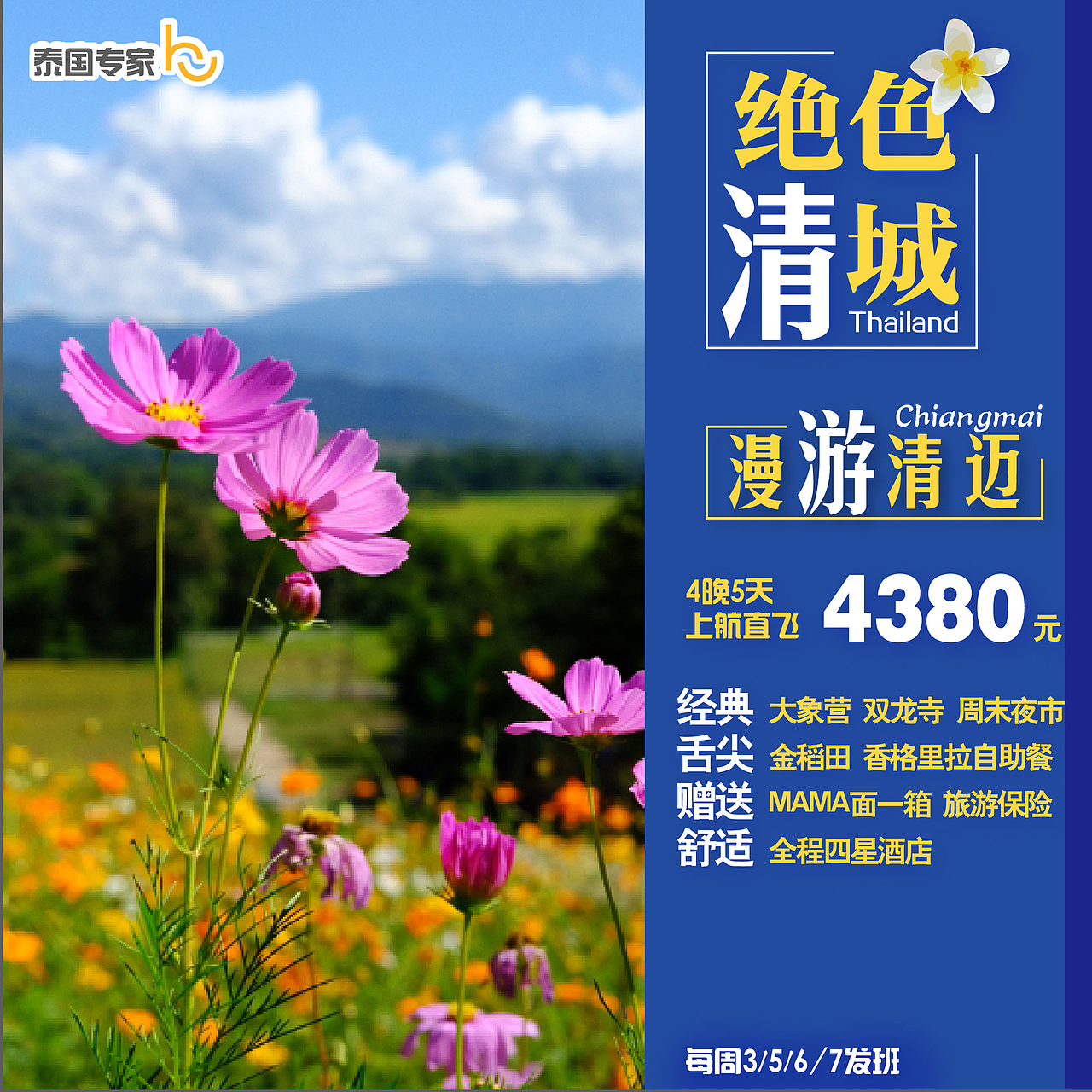 旅游海报合集