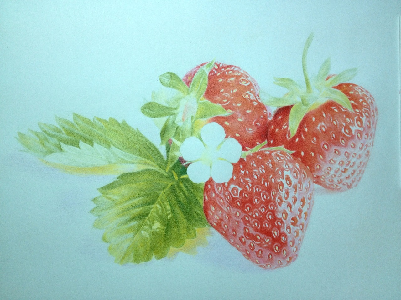水彩草莓教程 | 留白胶的使用技法_又画-站酷ZCOOL