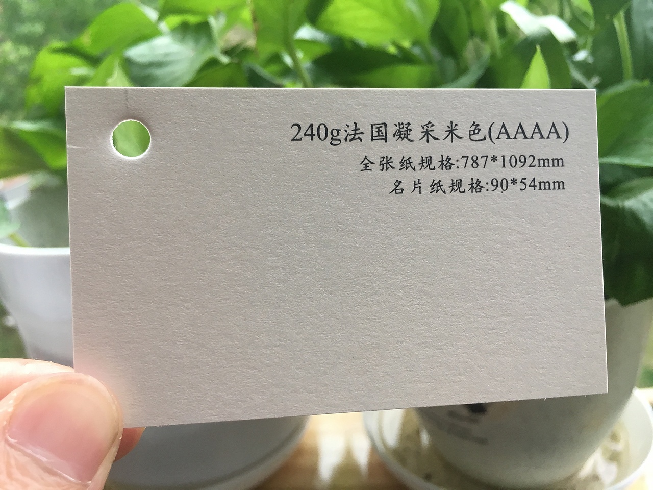 2019款特种纸艺术纸实物展示样册