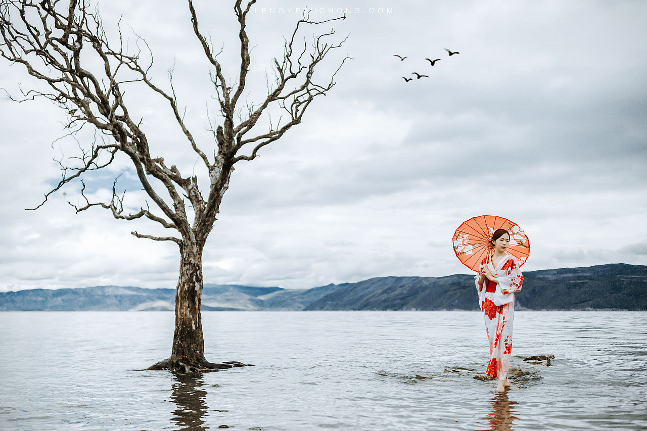 风吹起你的头发 一张棕色的小网 撒满我的面颊