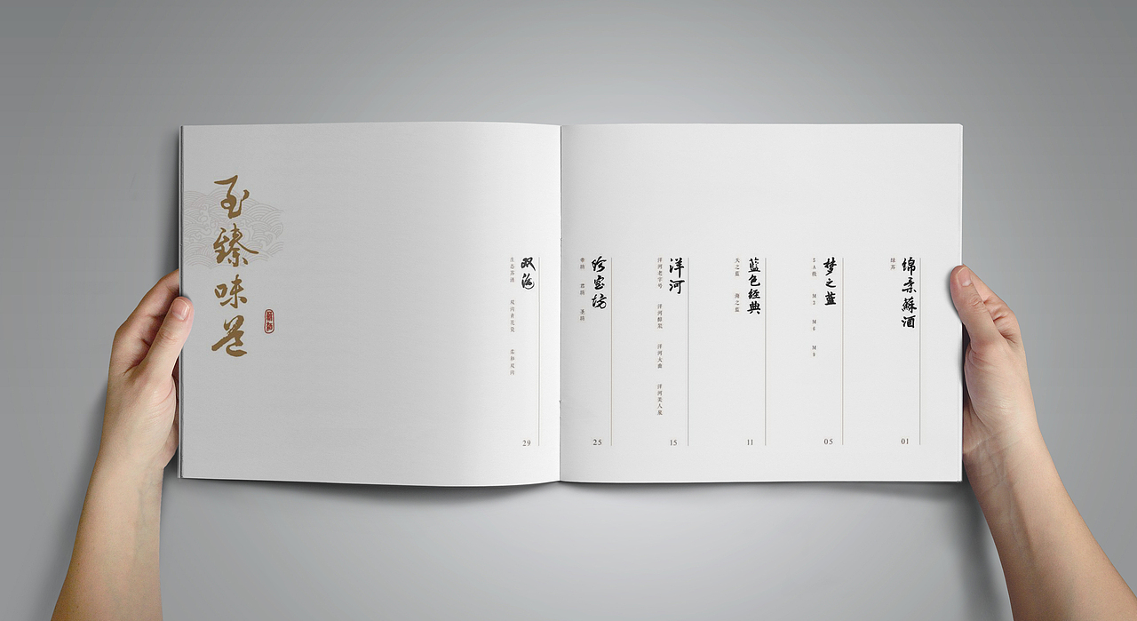 洋河 × 5gN² | 产品画册设计