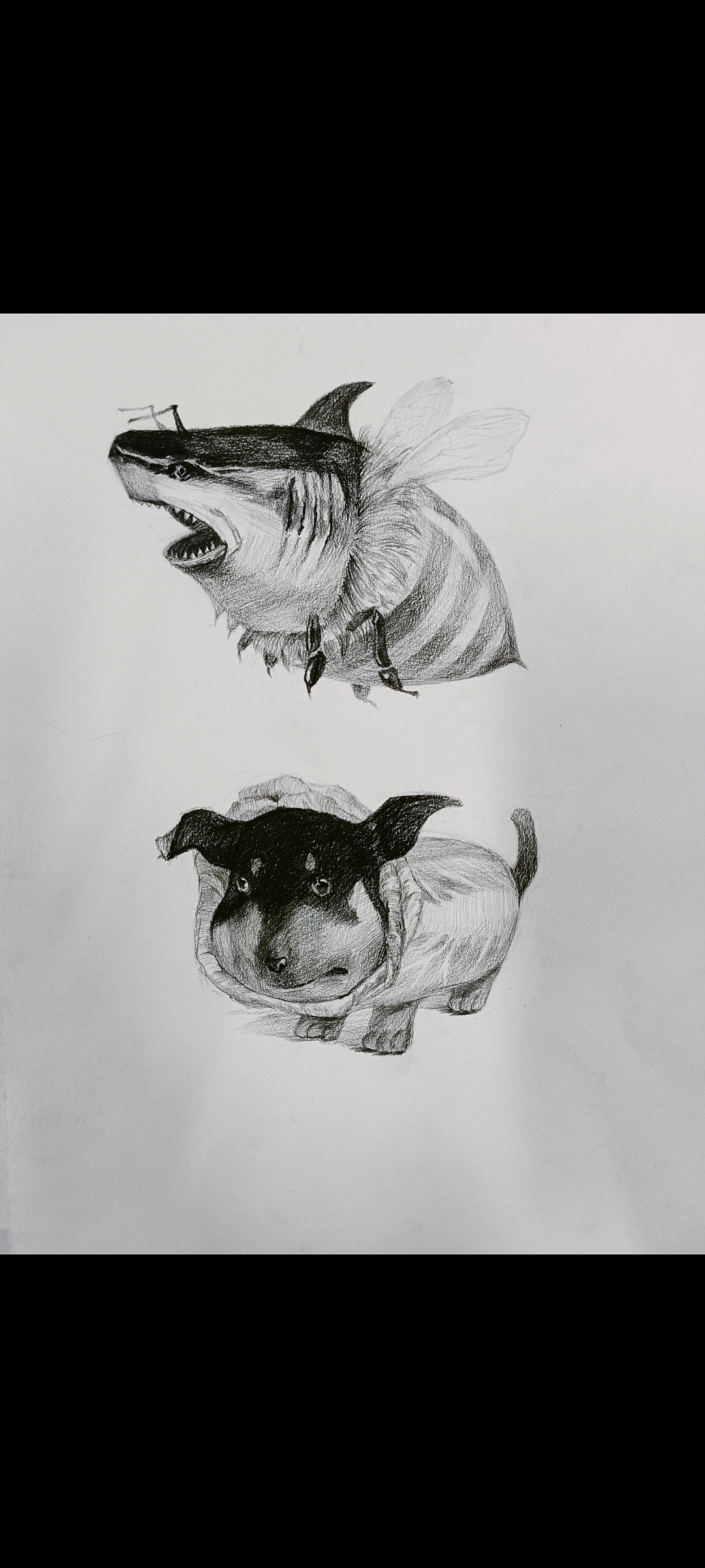 素描速写临摹创作