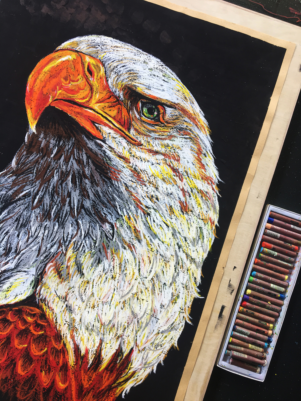 鹰|纯艺术|绘画|小猴子aom - 原创作品 - 站酷 (zcool)