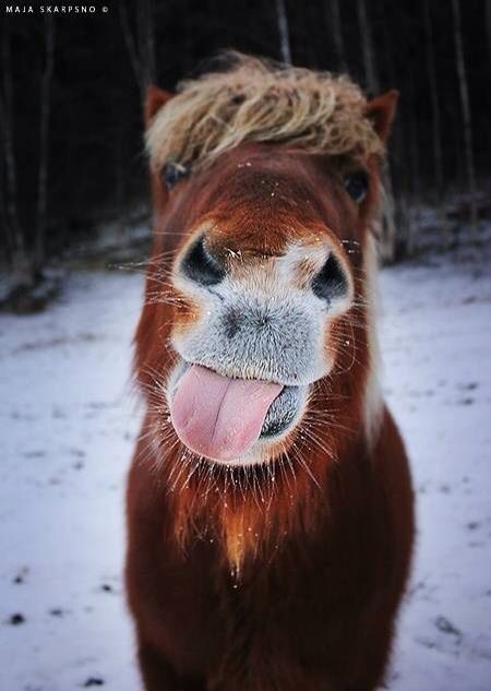 莫彥峰的個(gè)人主頁（背景預(yù)覽） - 主頁背景設(shè)置 - 站酷設(shè)計(jì)師莫彥峰原創(chuàng)素材 - 站酷ZCOOL