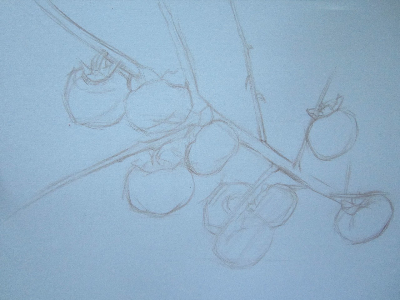 彩鉛————柿子（圖ZOTM3MDUwMA==） - 繪畫 - 站酷設(shè)計師魚兒乖原創(chuàng)素材 - 站酷ZCOOL