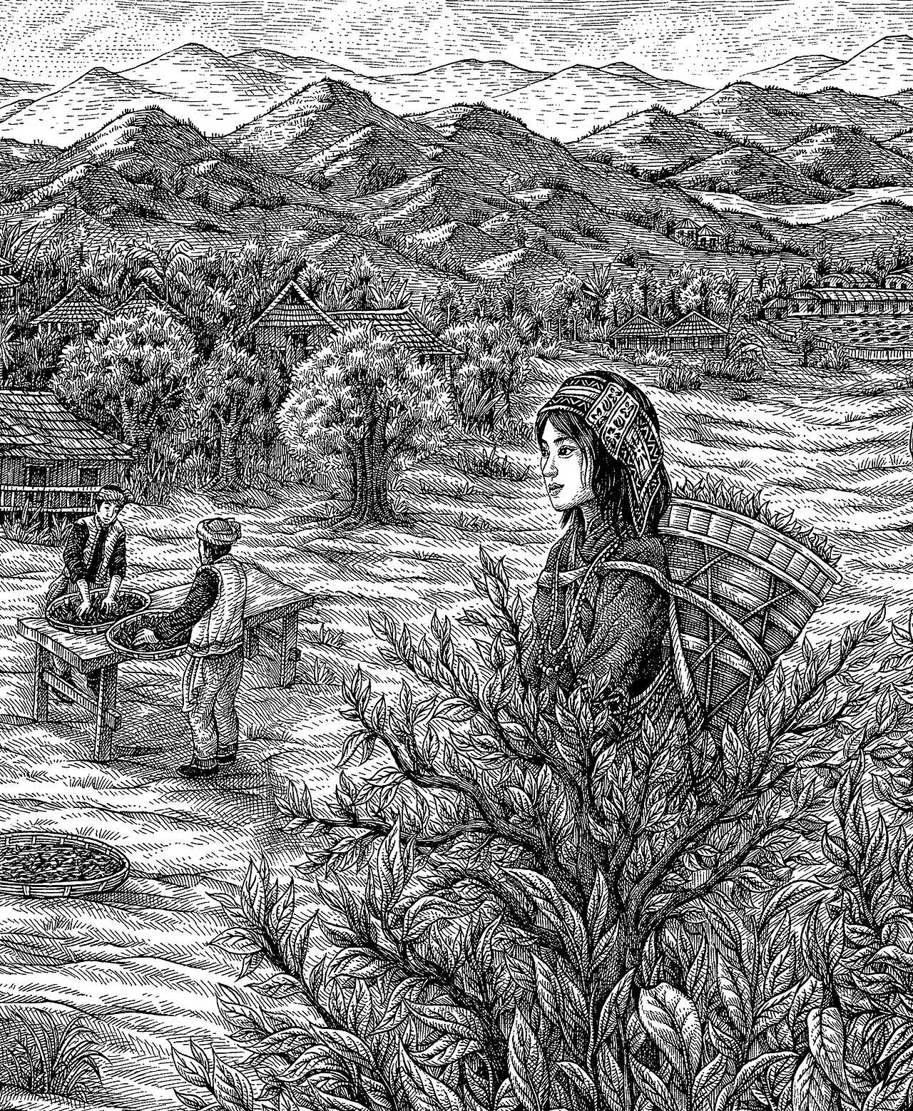 《七彩云南茶》手绘作品